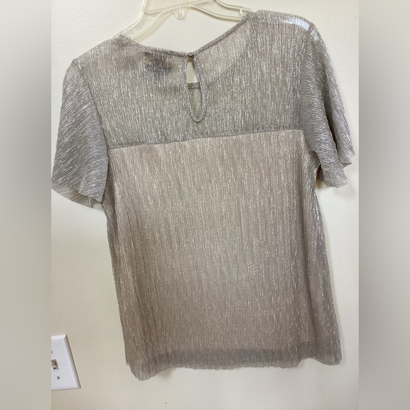 Metallic silver/gold yoke, flutter cap sleeves. - Picture 2 of 5